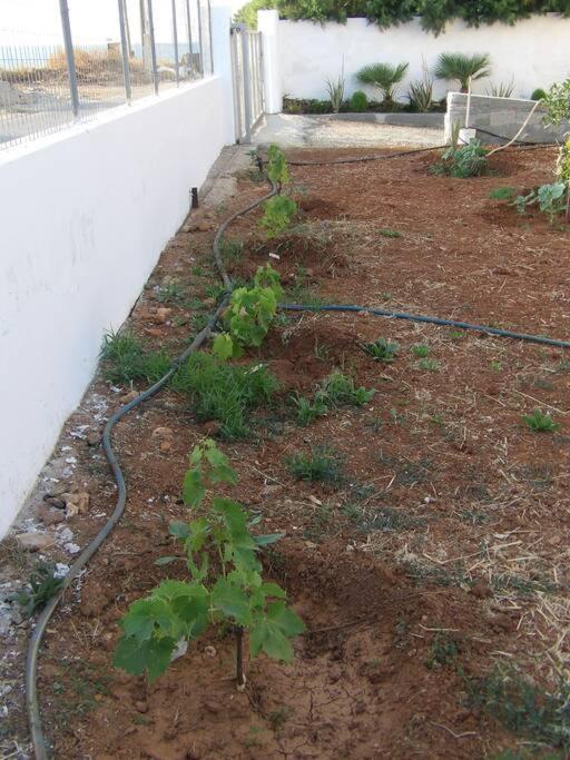 Teo 1 Apartment Gouves Exterior photo